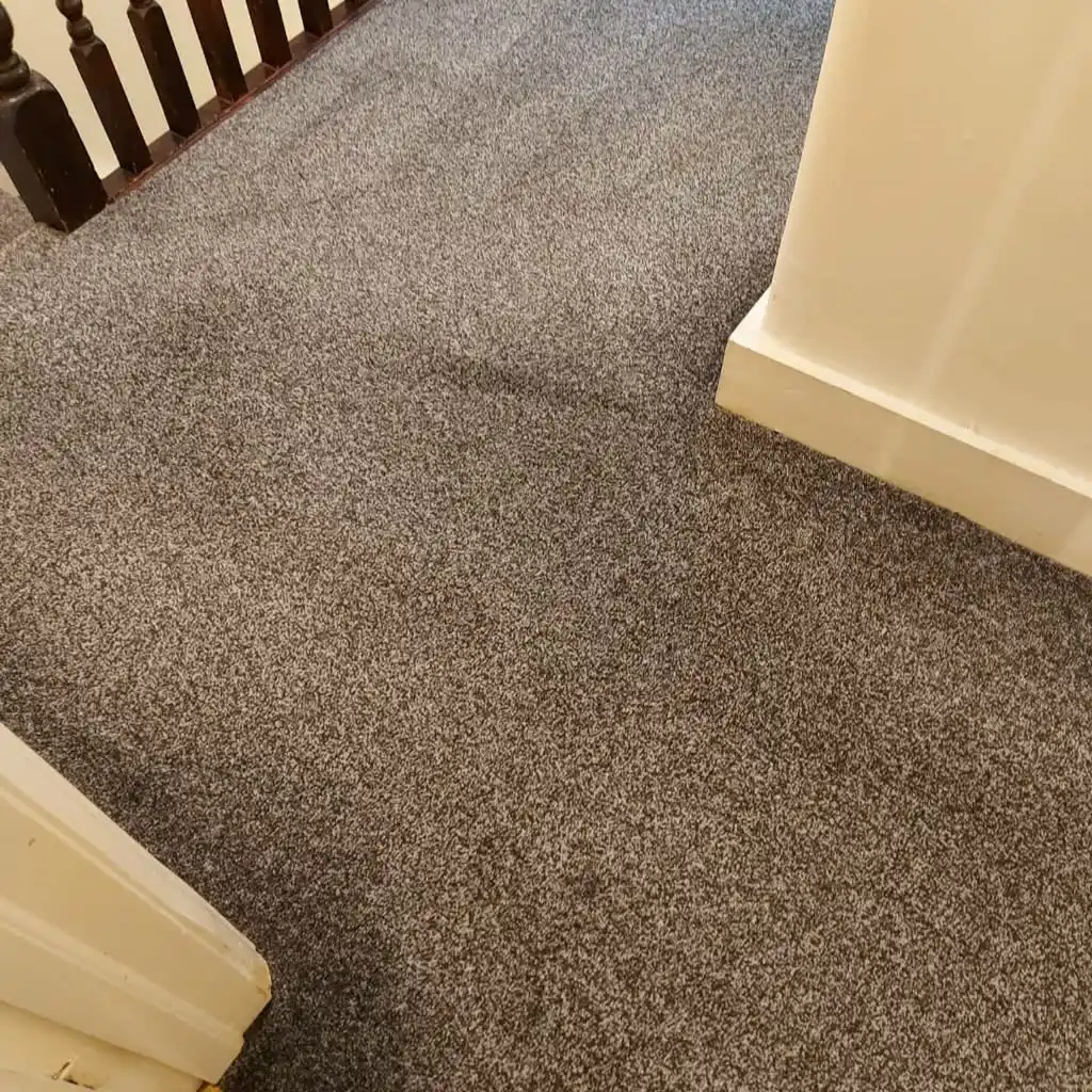 Images Titanium Cleaning