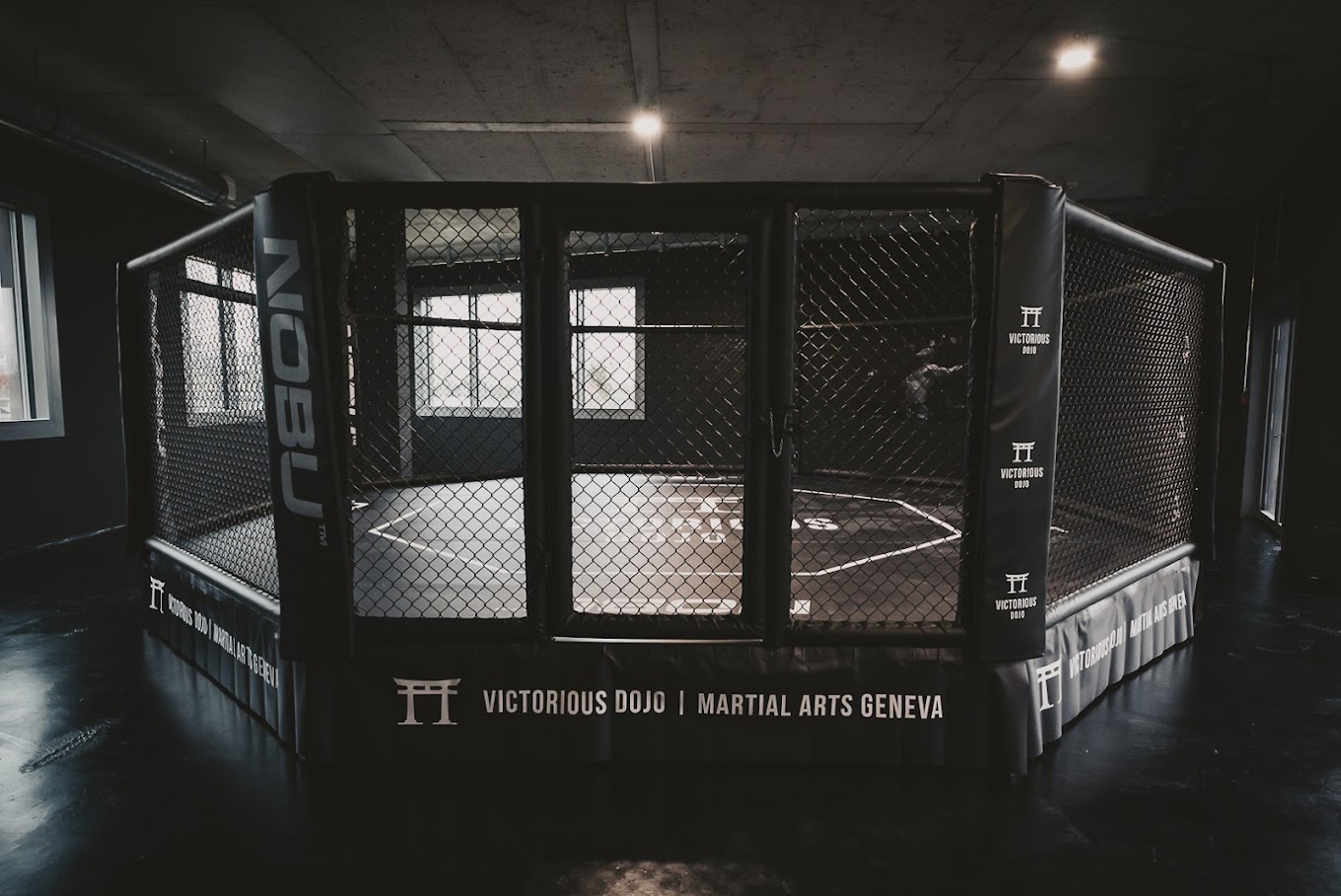 Bilder Victorious Dojo