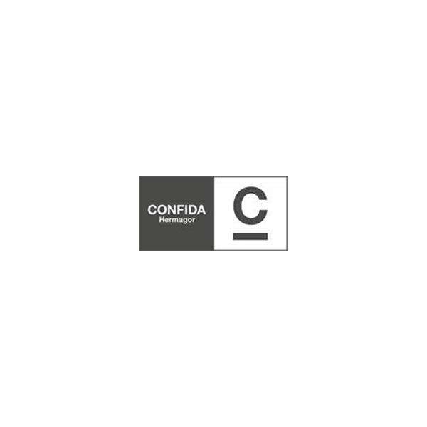CONFIDA Hermagor WirtschaftstreuhandgesmbH Logo