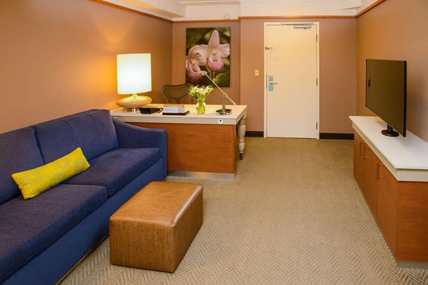 Images Hilton Garden Inn Rochester Downtown
