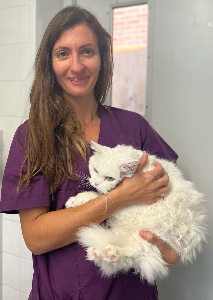 Images Streatham Hill Veterinary Surgery