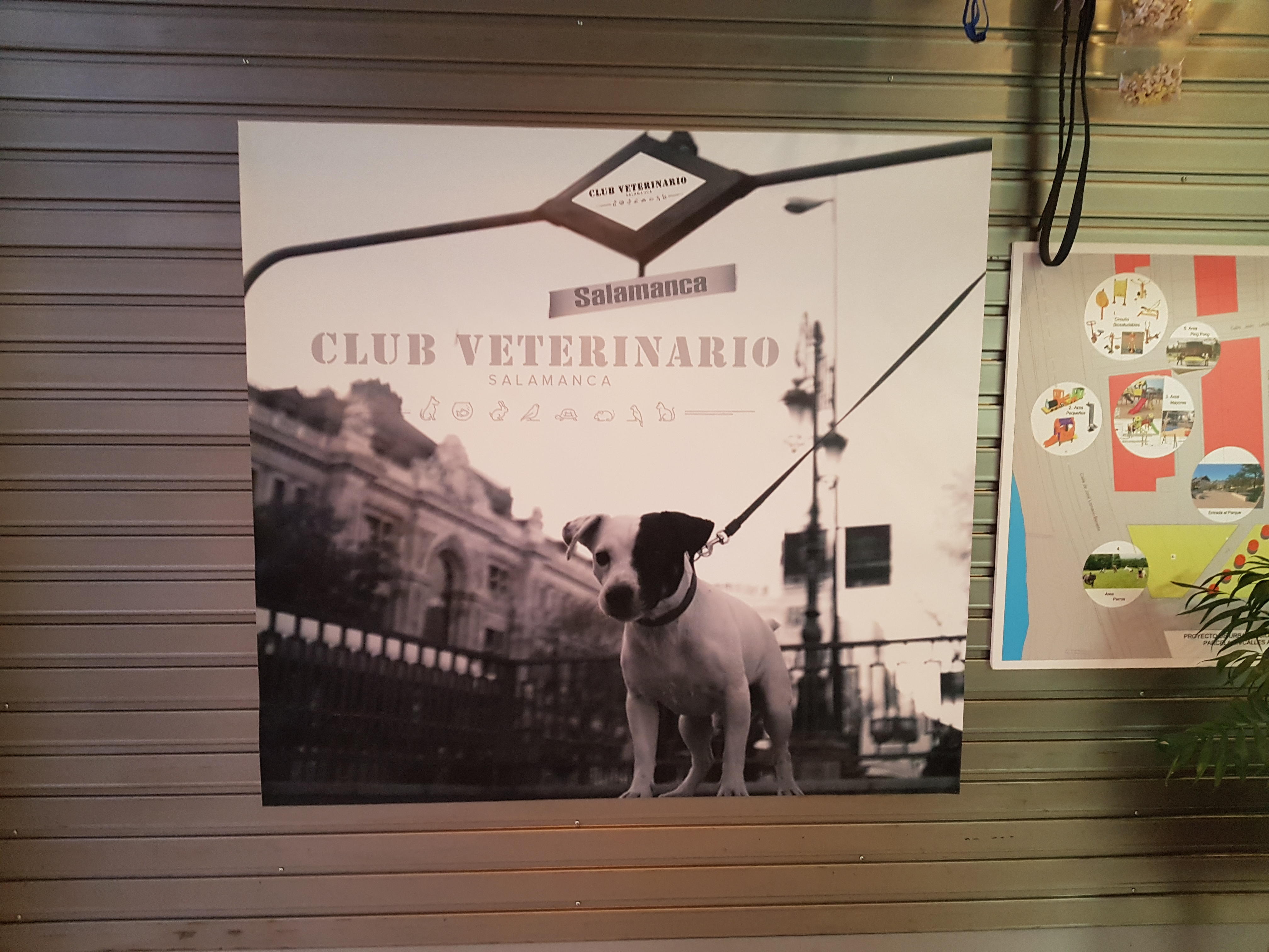 Images CLUB VETERINARIO SALAMANCA