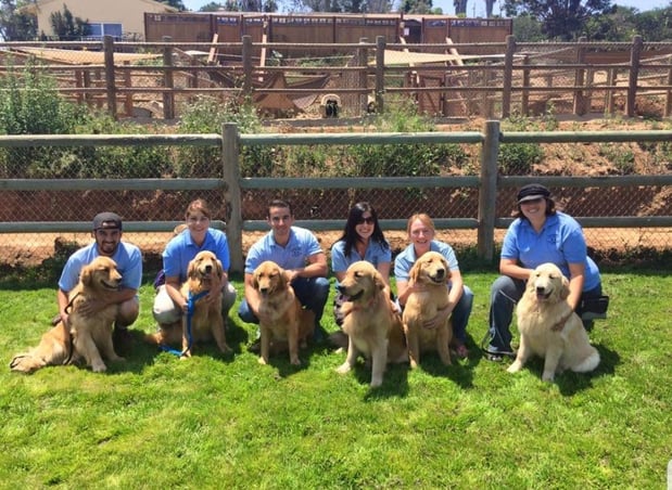 Images Margale Pet Resort