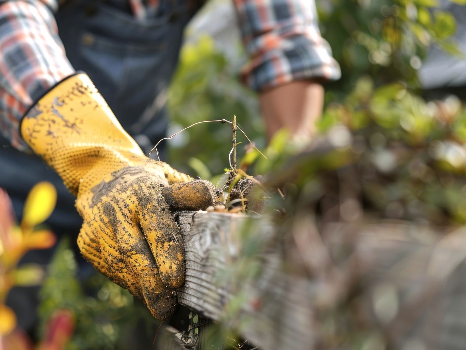 Nature Tree Service