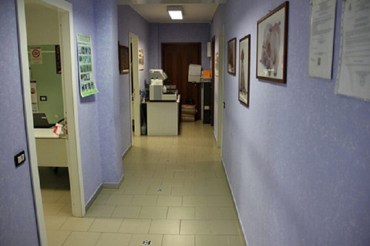 Images Clinica Veterinaria Croce Azzurra