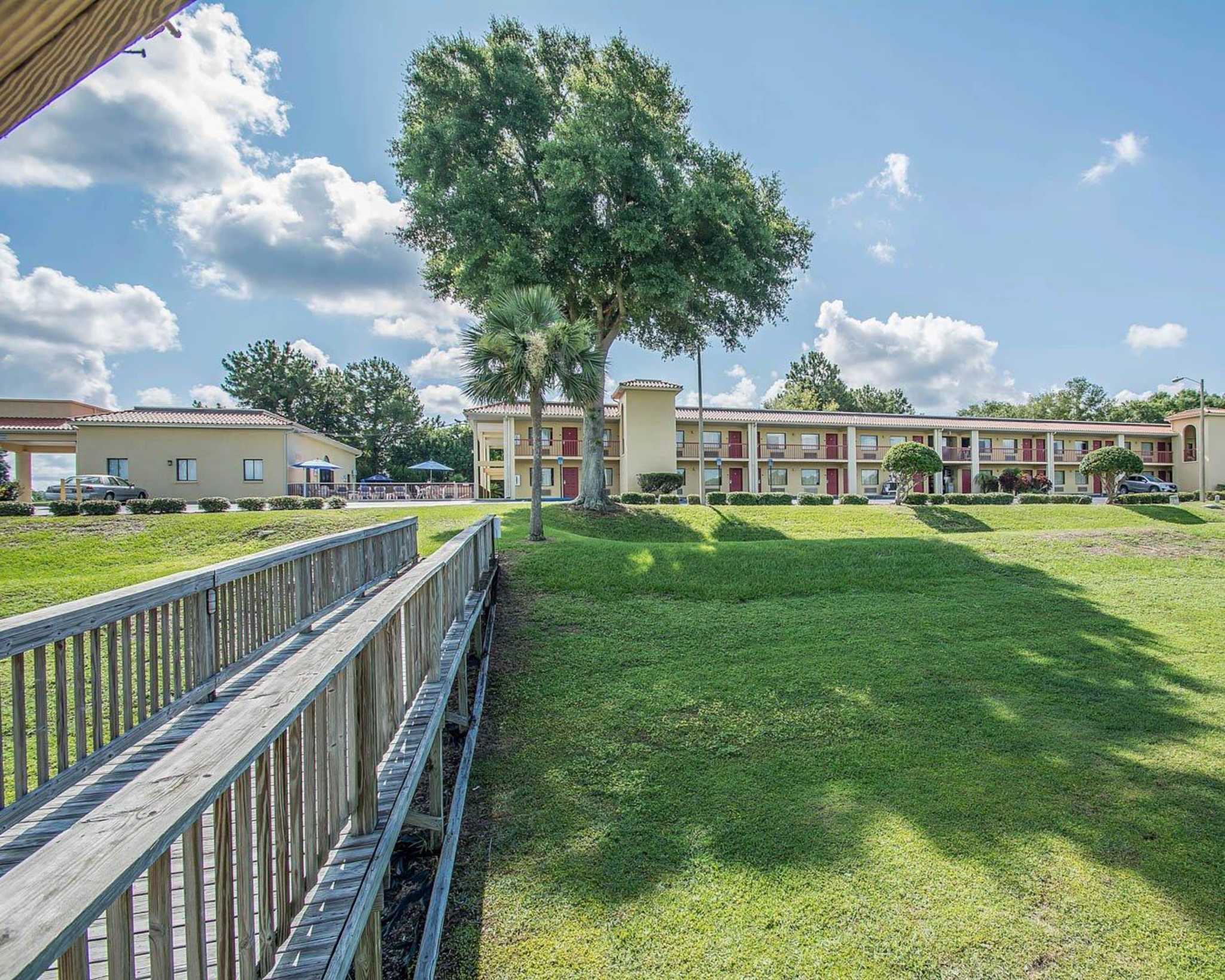 Mt dora coupons