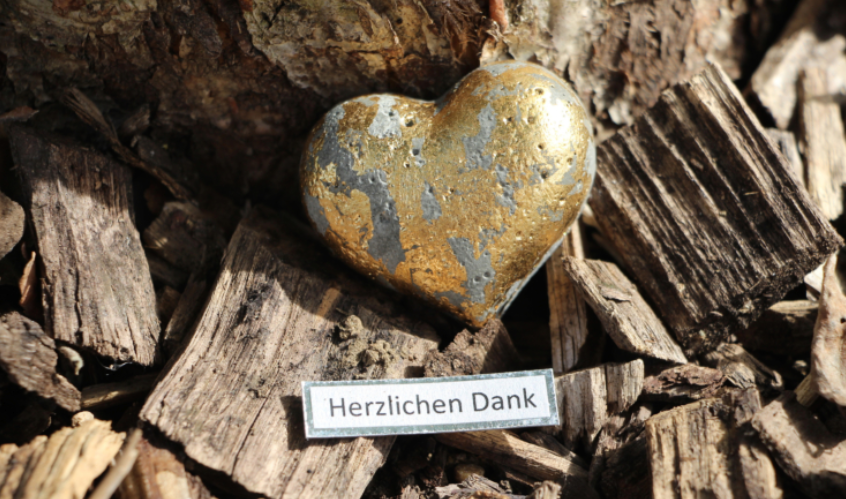 Stiftung Domino, Wiesenweg 2 in Hausen AG