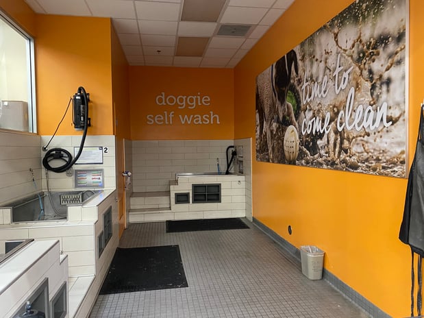 Images Petco Grooming