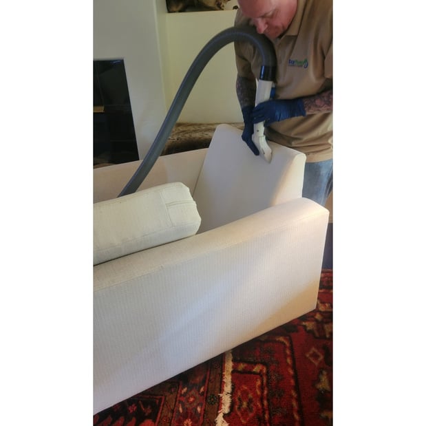 Images EcoPure Carpet Care