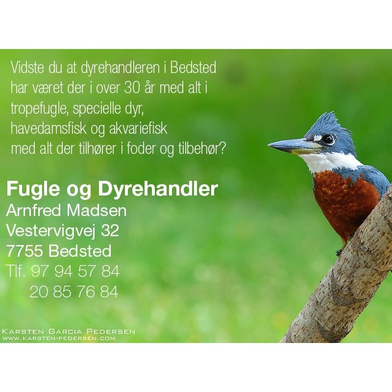 Fugle & Dyrehandler Arnfred M Madsen Logo