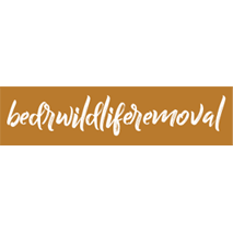 BEDR Wildlife Removal