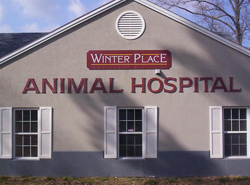 Images Winter Place Animal Hospital