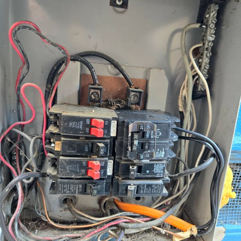 San Fran Electric Image