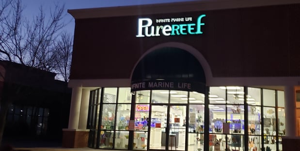 Images Pure Reef