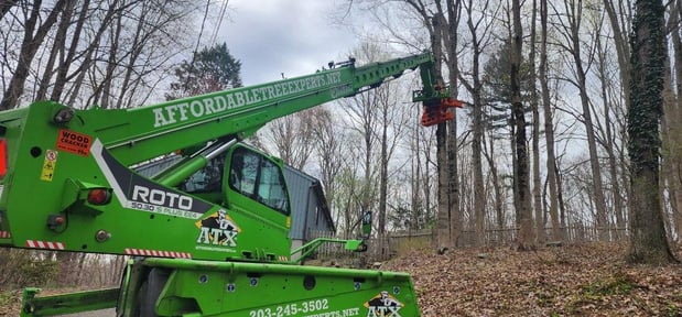 Images Affordable Tree Experts LLC