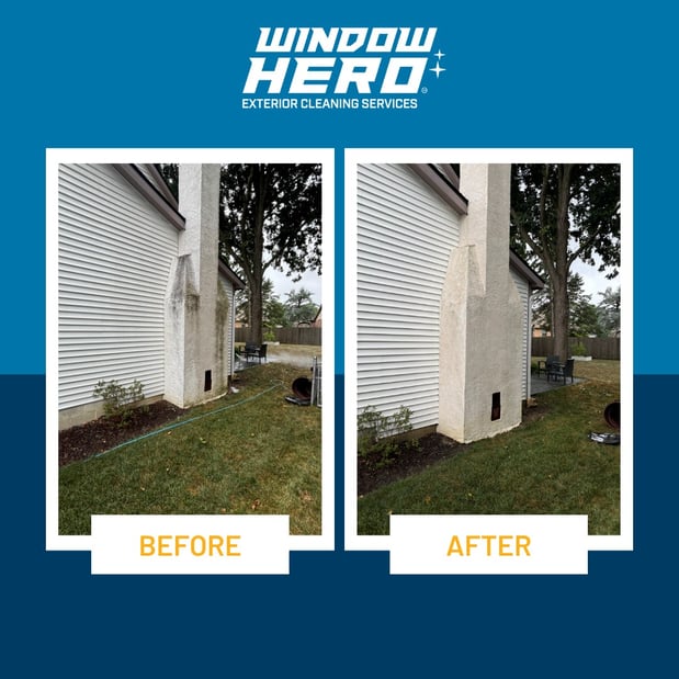 Images Window Hero Raleigh