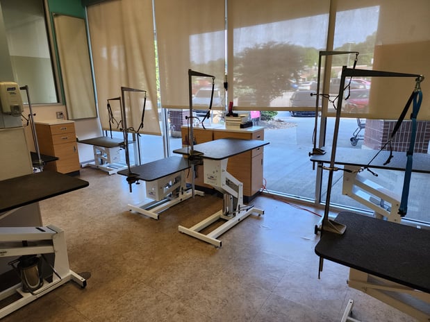 Images Petco Grooming