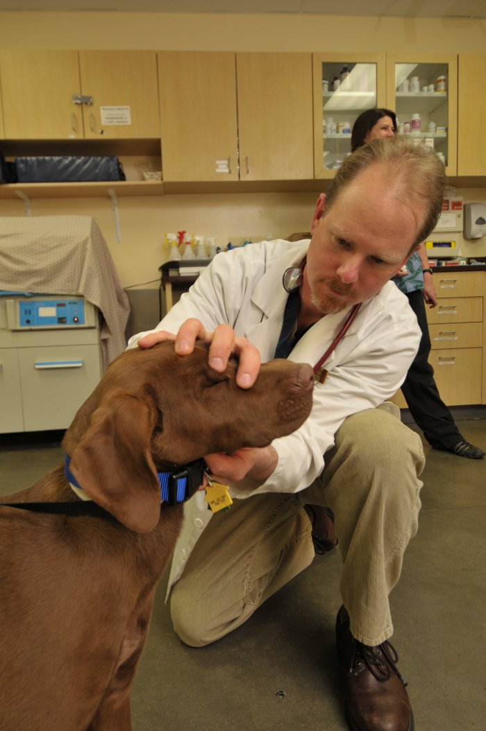 Image 6 | VCA Alameda East Veterinary Hospital