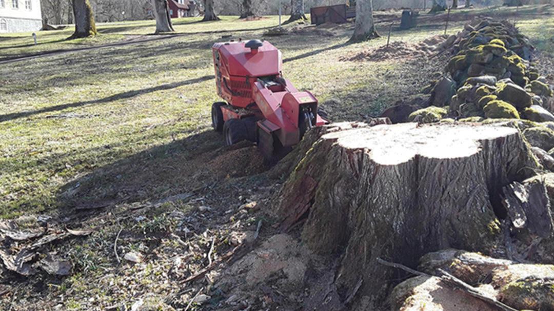 Images Full Fräs Hanssons Stubbfräsning