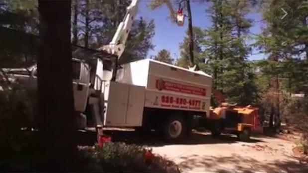 Images Jonny's Tree and Landscaping Co., LLC