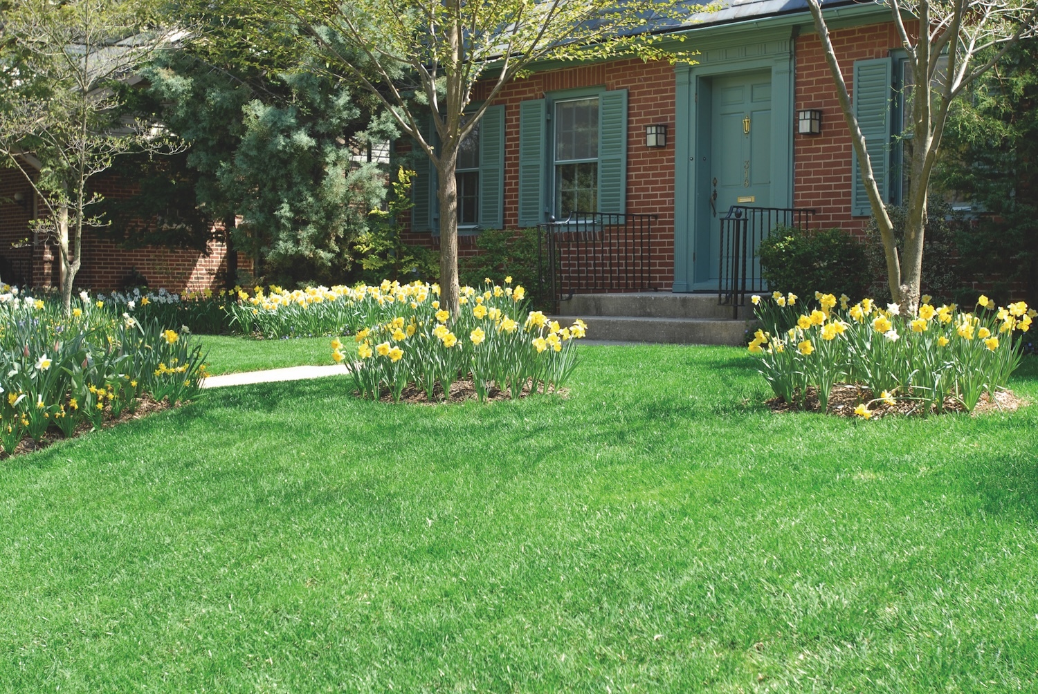 NaturaLawn of America Image