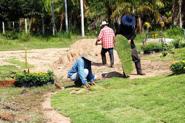 Images Simply Sod & Landscaping