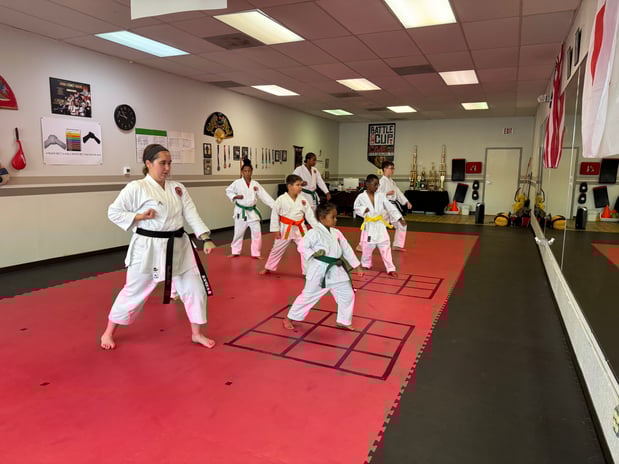 Images Jaguar Dojo