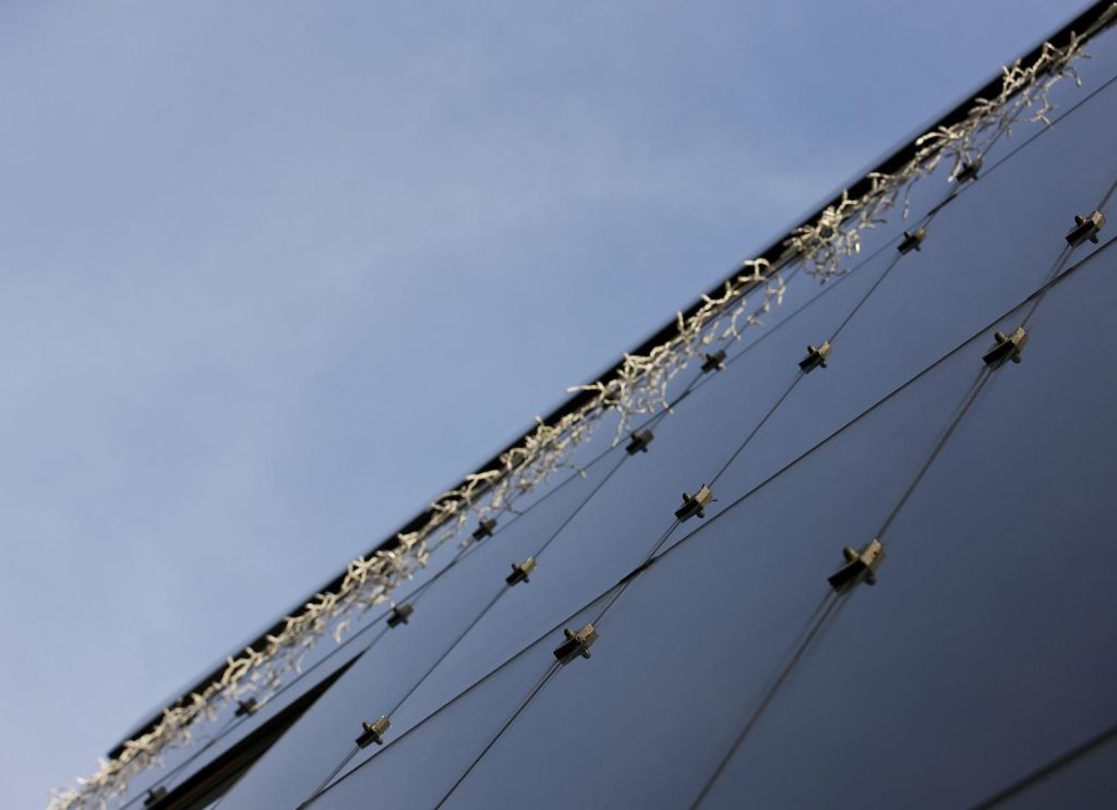 Bild 31 von in vitro veritas GmbH GLAS-TSCHEBULL.AT