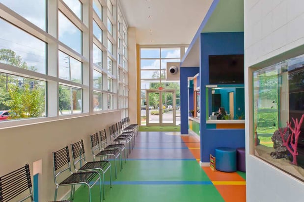 Images Brushes and Brackets Dental Studio