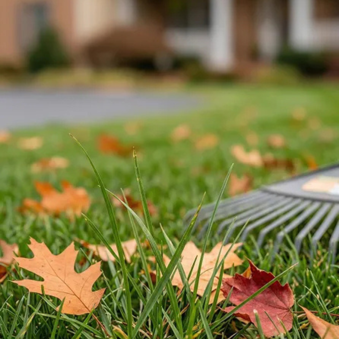 Charlottesville Lawn Care