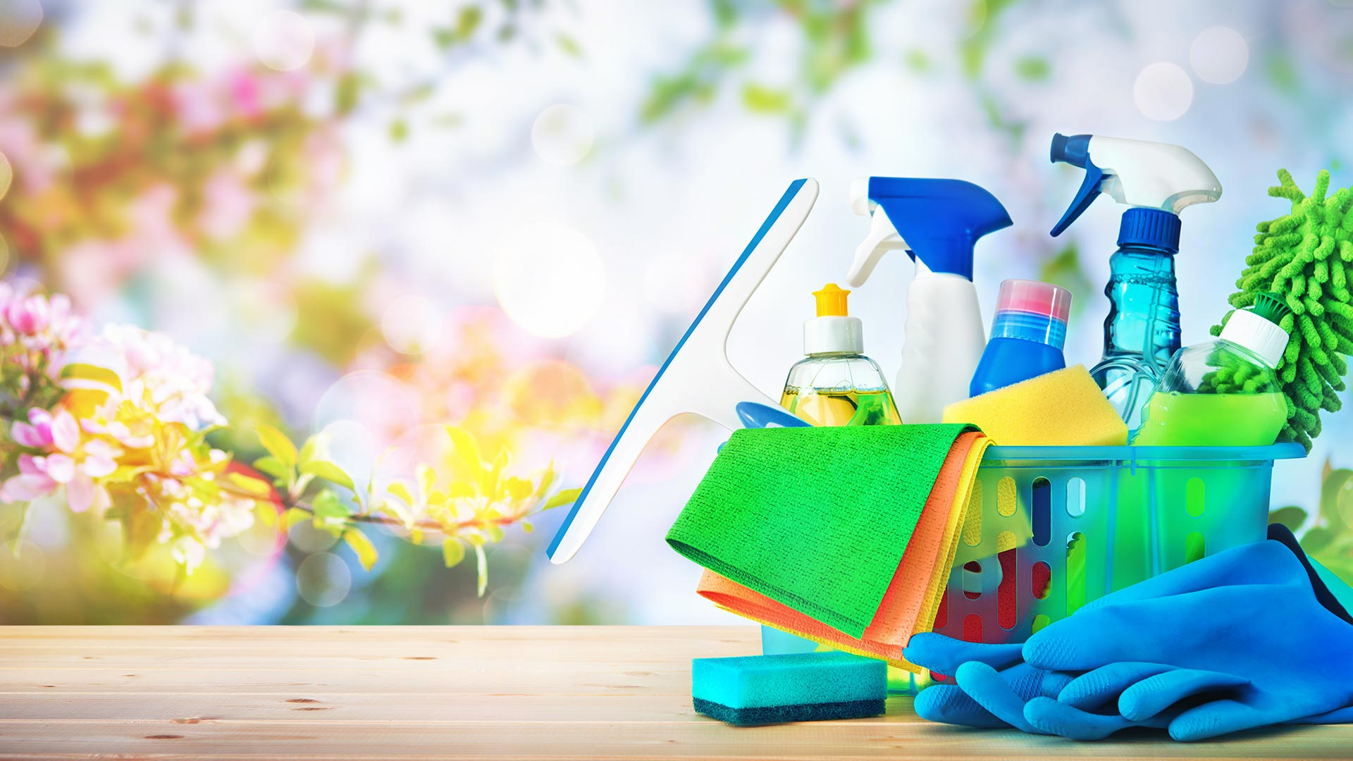 Haus und Gartenbetreuung, Räumung Andrea, F.Lichtenwörther-Gasse 12a in Ternitz