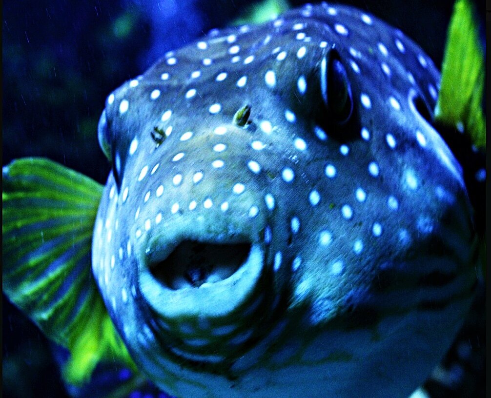 S&L Naturverlag, Bergrat-Mahr-Straße 17 in Ilmenau