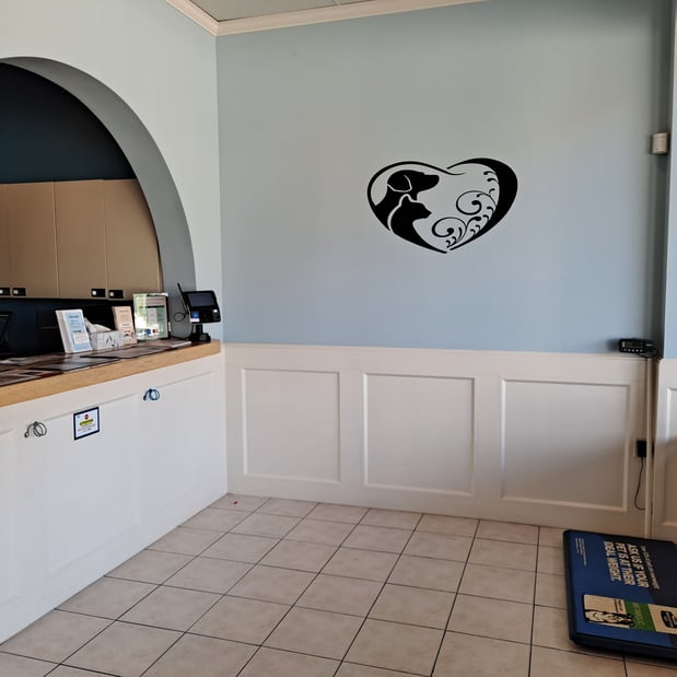 Images Vetco Total Care - SouthPaw Animal Clinic