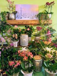 BlumenGlück zur alten Post, Elggerstrasse 4 in Hofstetten ZH