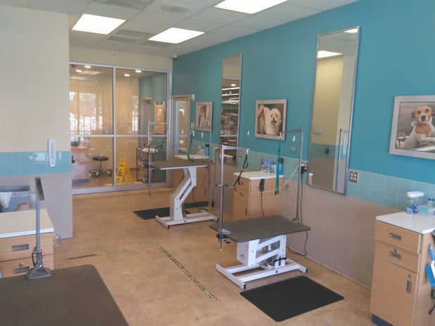 Images Petco Grooming