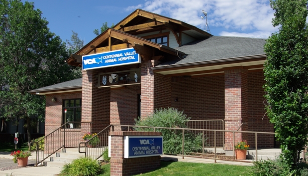 Images VCA Centennial Valley Animal Hospital