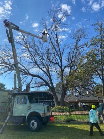 Images Glenn's Tree Service LLC