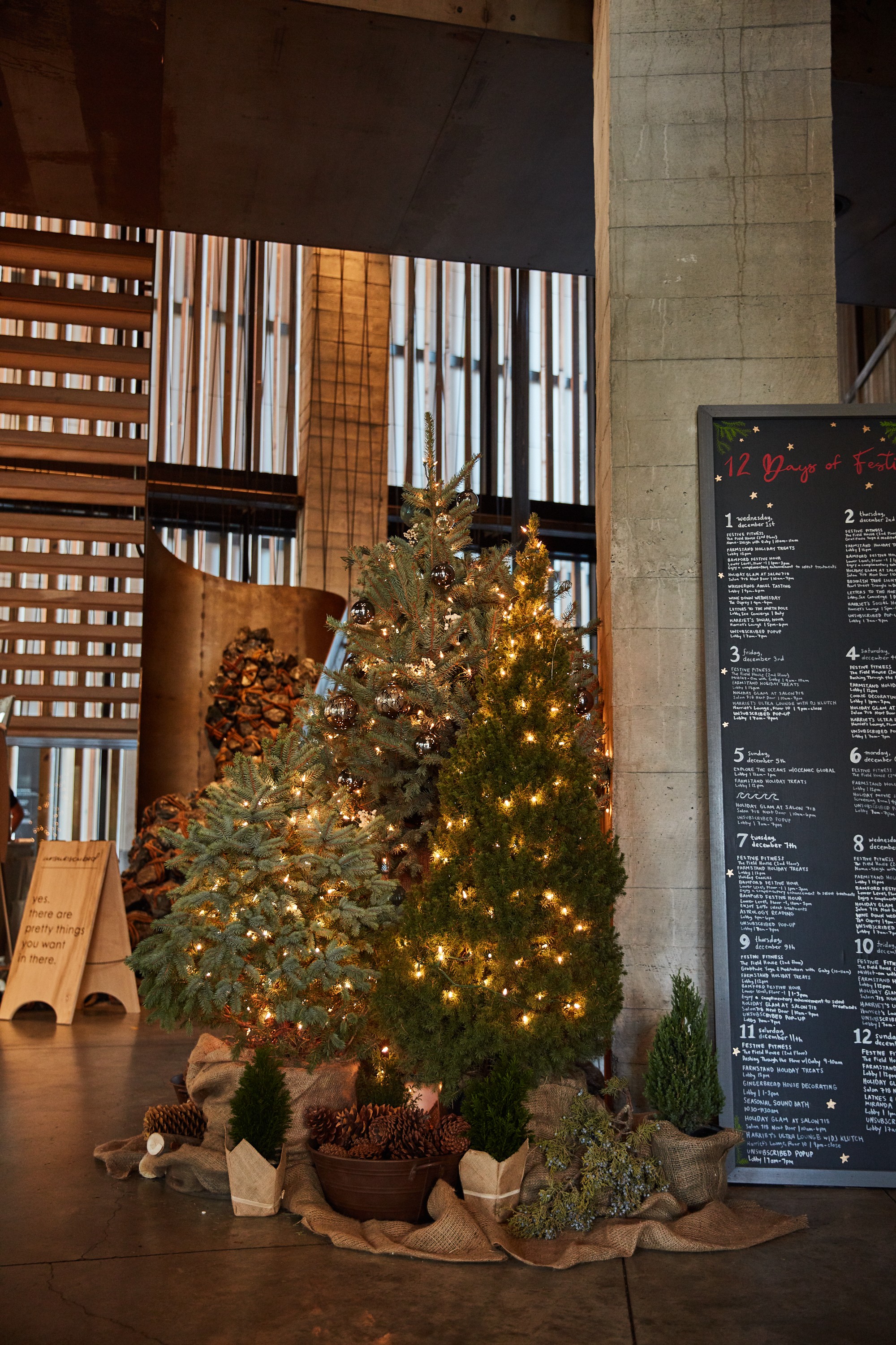 Holiday Decor 