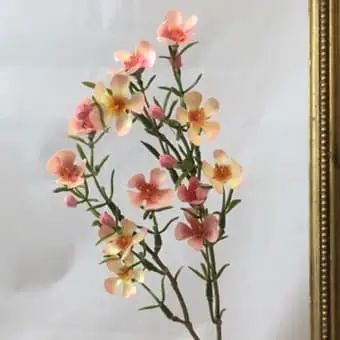 Images Village Green Wholesale Ltd