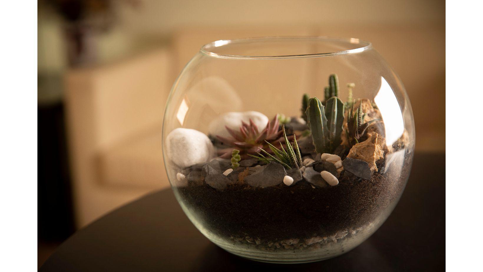 Cementiri Comarcal Roques Blanques 28