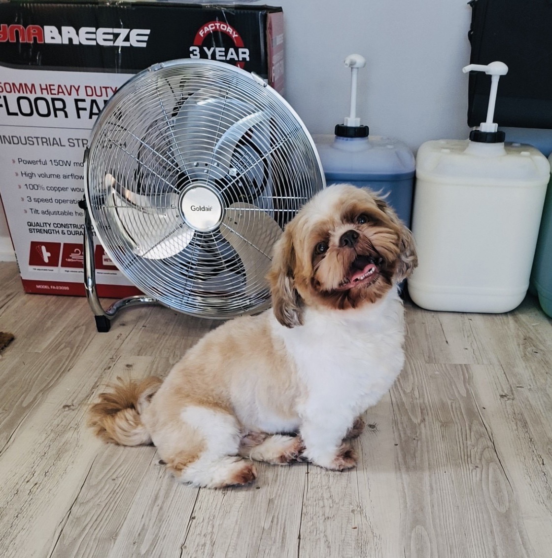 Images Scrub-A-Dub-Dub Dog & Cat Grooming