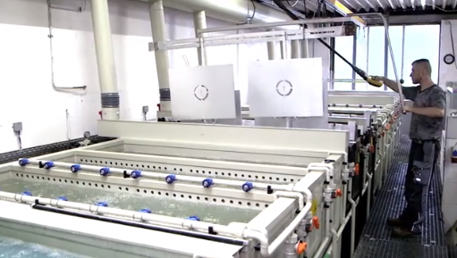 Oberflächentechnik Tornesch e.K. René Buck, Lindenweg 75 in Tornesch