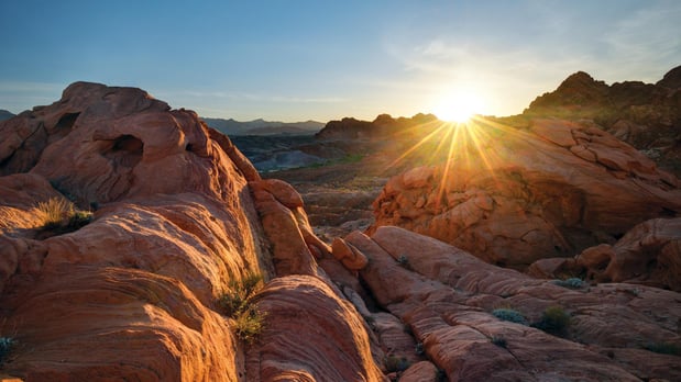 Images Toll Brothers at Ascension - Highrock Collection - Closed