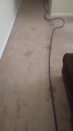 Images Carpet RX of Louisville
