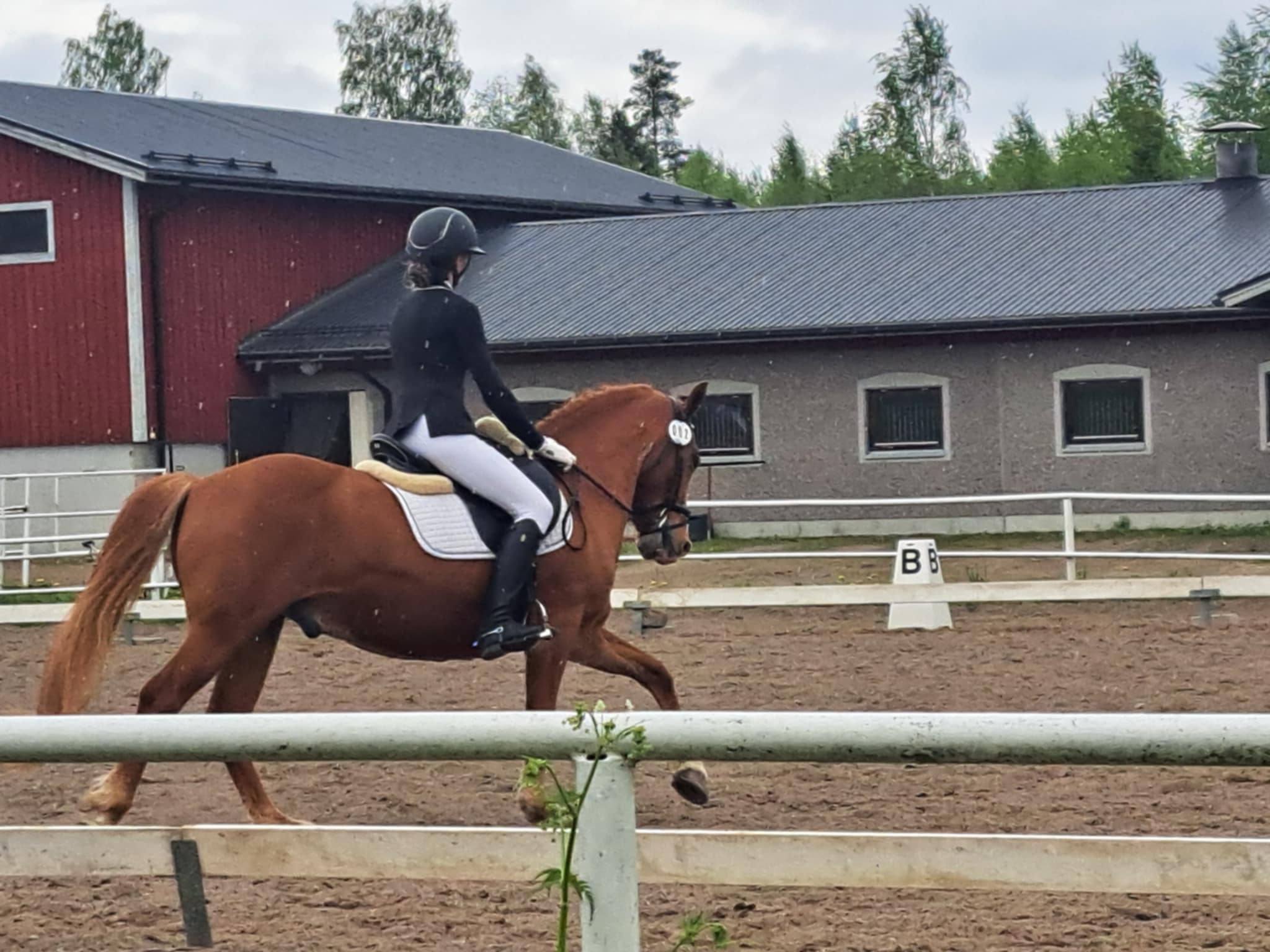 Images Relanderin Ponitalli