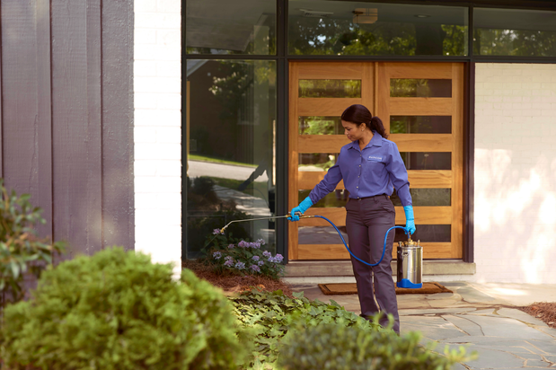 Images PURCOR Pest Solutions