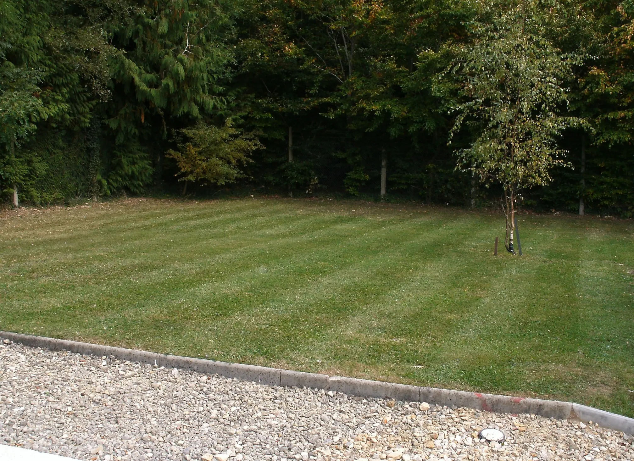Images SN Landscaping Ltd