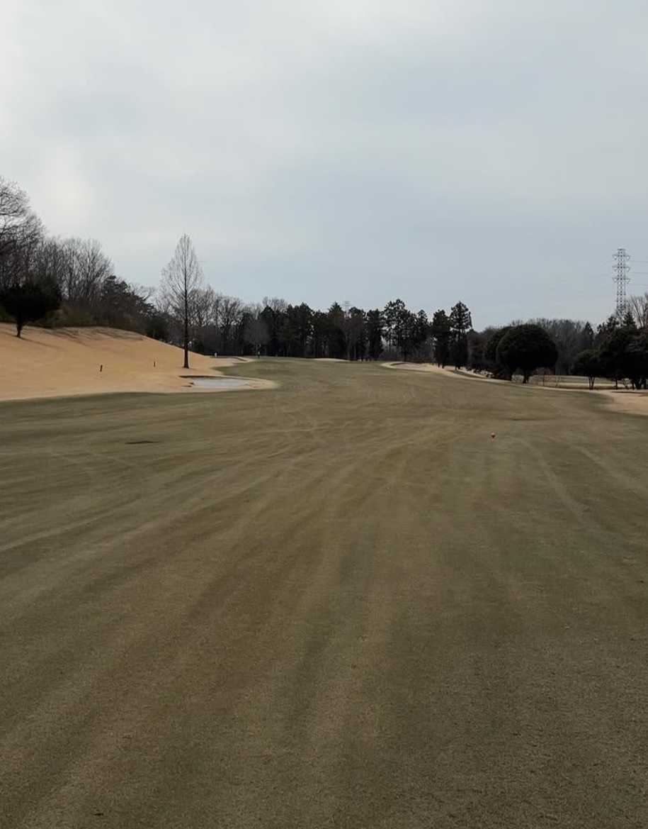 Images VZONEGOLF