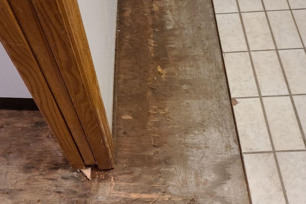 Pictured here, we removed one course of tile at a time to determine how far water spread to the subflooring for flood water removal in Minneapolis.