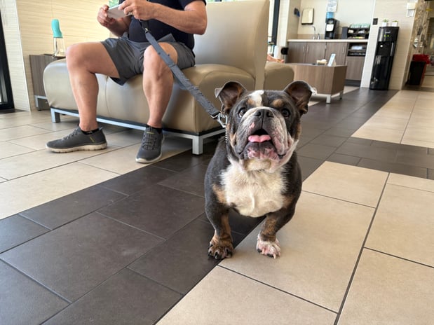 Images VCA West Los Angeles Animal Hospital